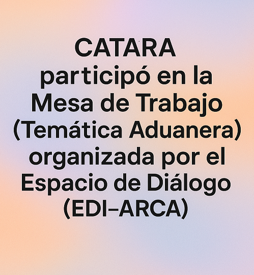 Mesa de Trabajo (Temática Aduanera) organizada por el Espacio de Diálogo